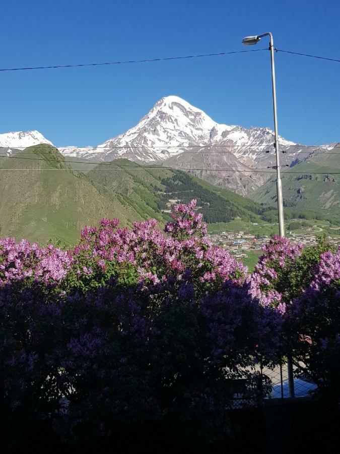 Hilltop Kazbegi المظهر الخارجي الصورة